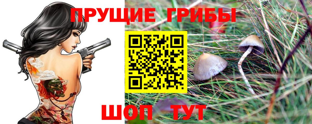 Галлюциногенные грибы MAGIC MUSHROOMS Луга