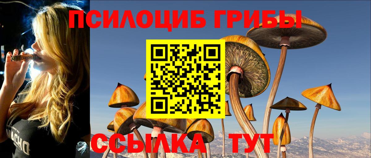 Псилоцибиновые грибы MAGIC MUSHROOMS  Вход с VPN  Луга 